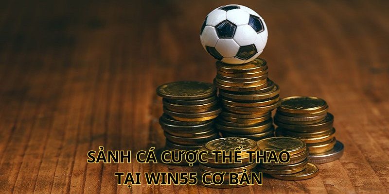 Sảnh cá cược thể thao tại Win55 cơ bản