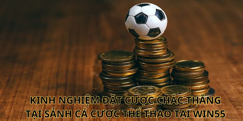 Kinh nghiệm đặt cược chắc thắng ở sảnh cá cược thể thao tại Win55