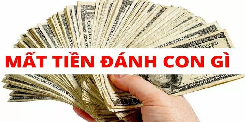 Nằm mơ thấy tiền đánh số mấy - với giấc mộng mất tiền