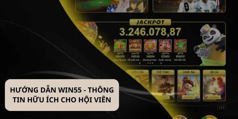 Hướng dẫn Win55 - Tổng hợp thông tin hữu ích cho cược thủ