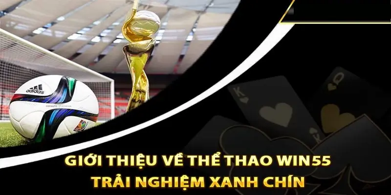 Giới thiệu tổng quát về sảnh thể thao WIN55